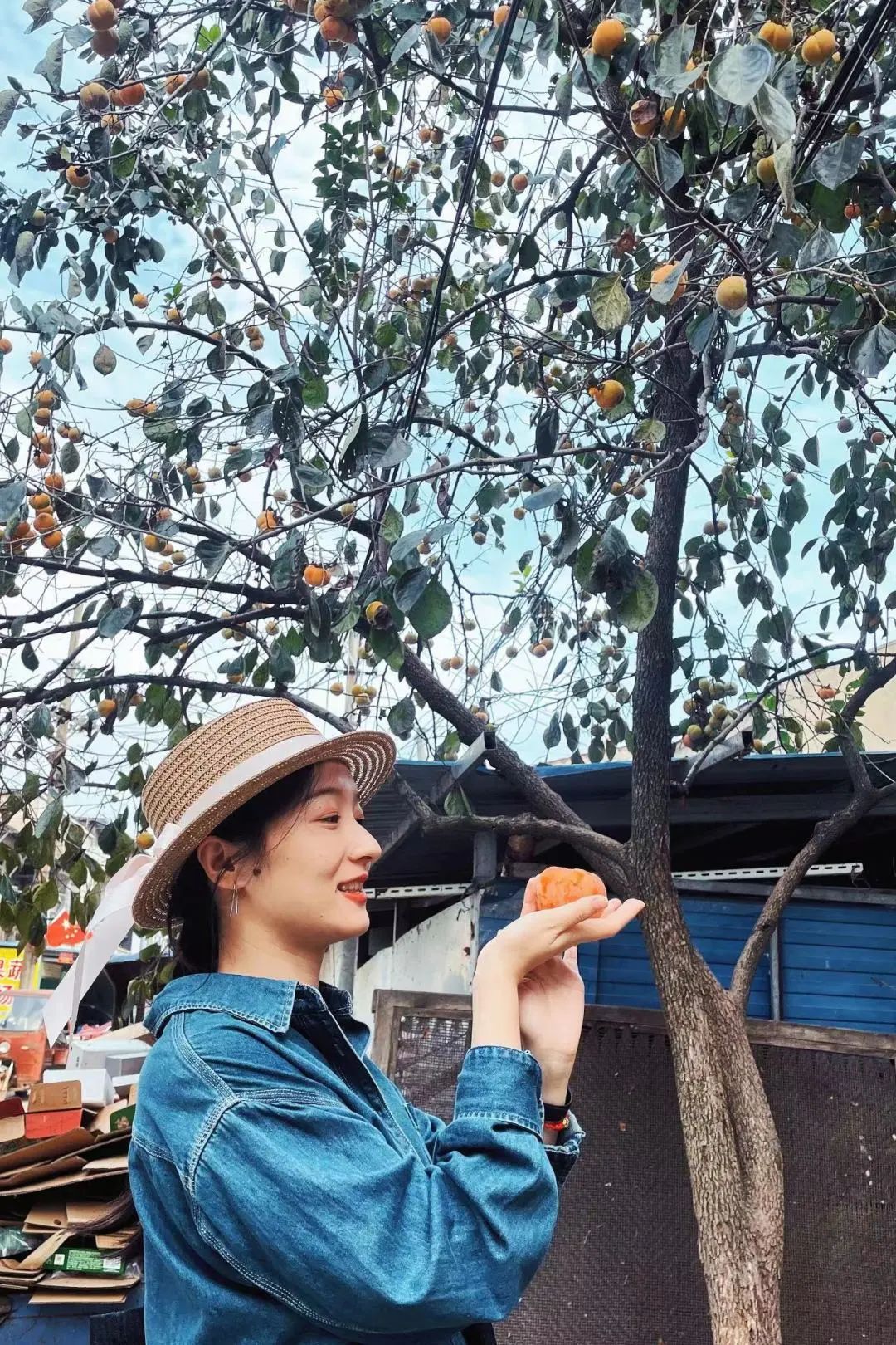 DƬ